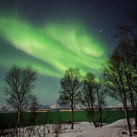 Modern Nearby Centrum Apartment